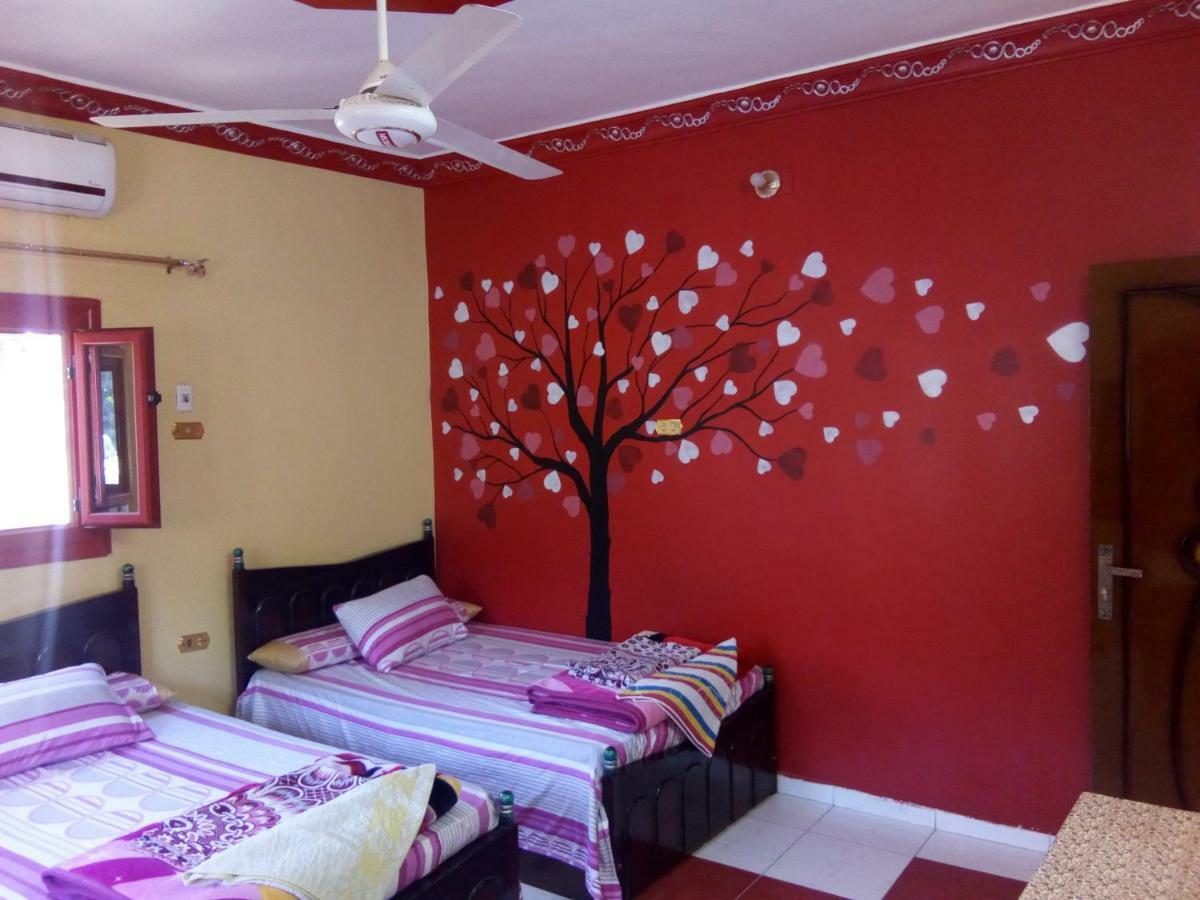 El-Amin Guest House Aswan Bagian luar foto