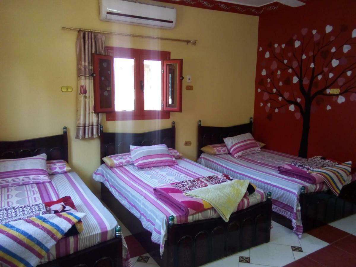 El-Amin Guest House Aswan Bagian luar foto