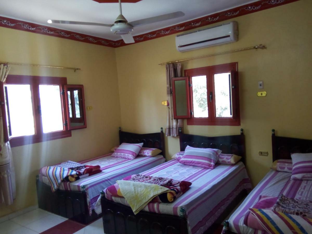 El-Amin Guest House Aswan Bagian luar foto