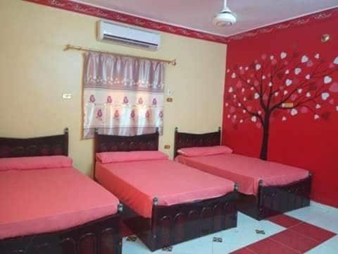 El-Amin Guest House Aswan Bagian luar foto